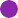 pp